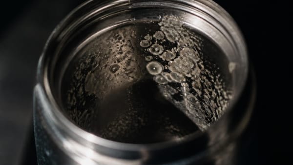 Je croyais ma gourde réutilisable bien plus saine qu'une bouteille en plastique : des chercheurs ont mesuré ce qui…